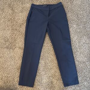 Express Slim Blue Work Pants
